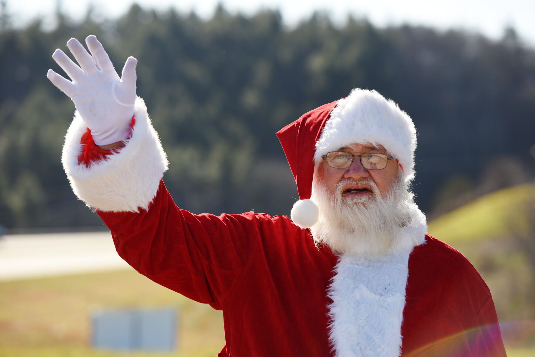 Choose and cut Christmas trees